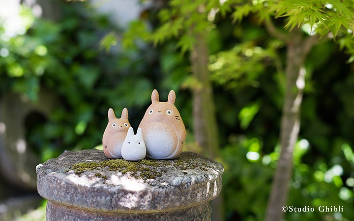  My Neighbor Totoro Pottery Set Made in Japan 