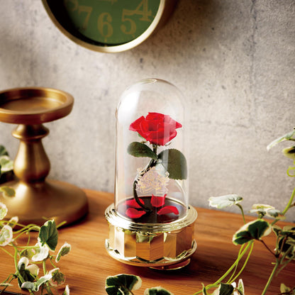 Beauty and the Beast Preserved Flower Rose Music Box Decoration Made in Japan